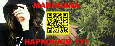 прущие крисы Нальчик