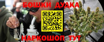 прущие крисы Нальчик