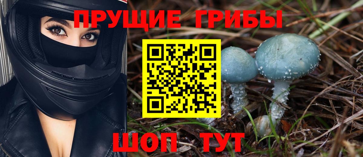 Галлюциногенные грибы мицелий Шали